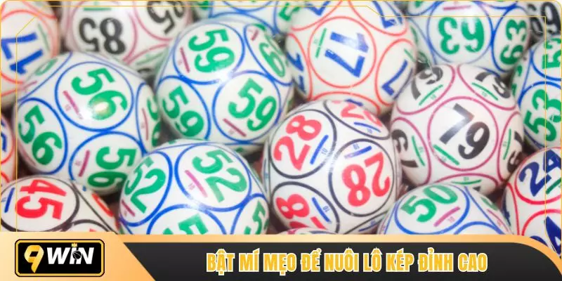 Bật mí mẹo để nuôi lô kép đỉnh cao