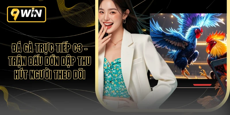 Đá Gà Trực Tiếp C3 - Trận Đấu Dồn Dập Thu Hút Người Theo Dõi