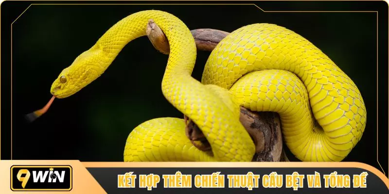 Kết hợp thêm chiến thuật cầu bệt và tổng đề
